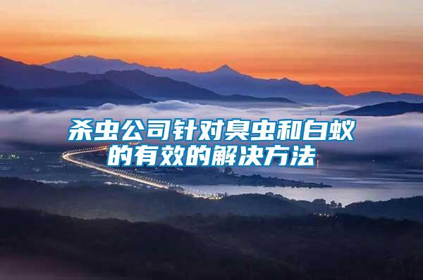 殺蟲公司針對(duì)臭蟲和白蟻的有效的解決方法