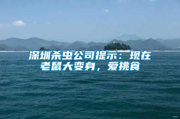 深圳殺蟲公司提示：現在老鼠大變身，愛挑食