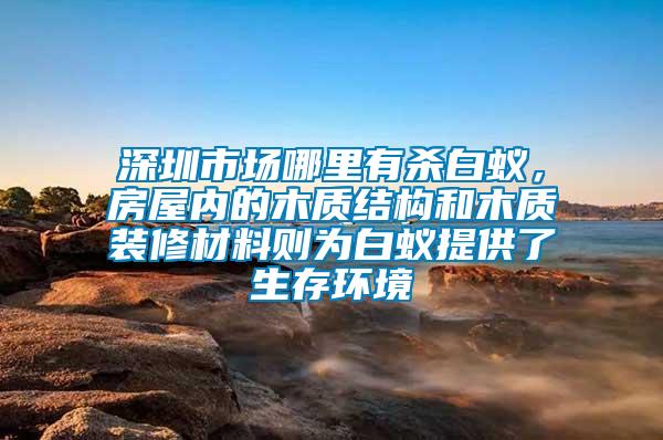 深圳市場哪里有殺白蟻，房屋內的木質結構和木質裝修材料則為白蟻提供了生存環境