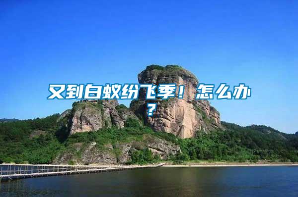 又到白蟻紛飛季！怎么辦？
