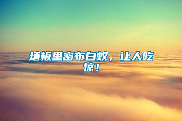 墻板里密布白蟻，讓人吃驚！