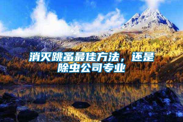 消滅跳蚤最佳方法，還是除蟲公司專業