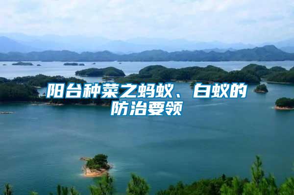 陽臺(tái)種菜之螞蟻、白蟻的防治要領(lǐng)