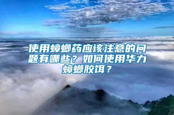 使用蟑螂藥應該注意的問題有哪些？如何使用華力蟑螂膠餌？