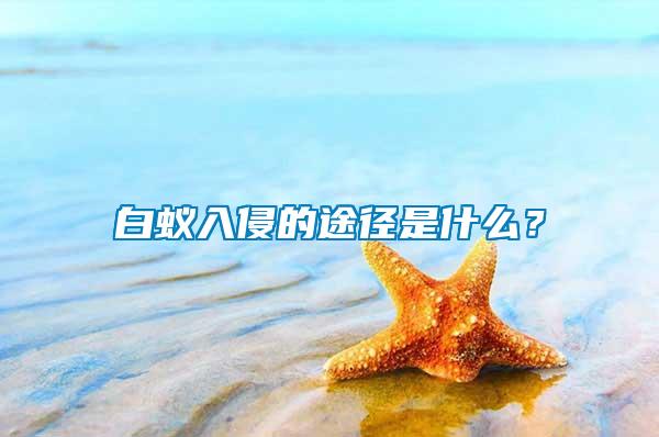 白蟻入侵的途徑是什么？