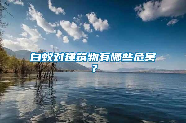 白蟻對(duì)建筑物有哪些危害？