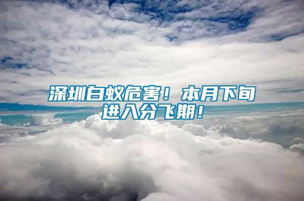 深圳白蟻危害！本月下旬進入分飛期！