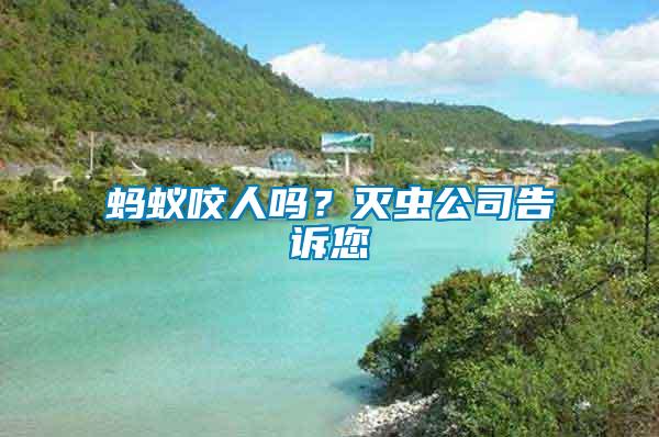 螞蟻咬人嗎？滅蟲公司告訴您