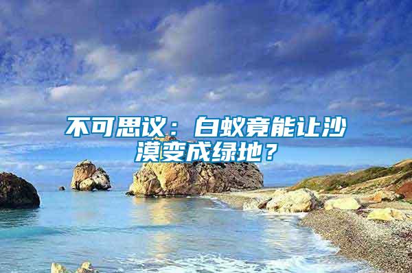 不可思議：白蟻竟能讓沙漠變成綠地？