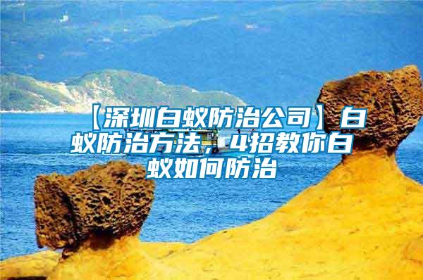 【深圳白蟻防治公司】白蟻防治方法，4招教你白蟻如何防治