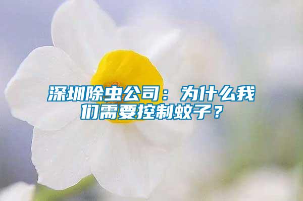 深圳除蟲公司：為什么我們需要控制蚊子？