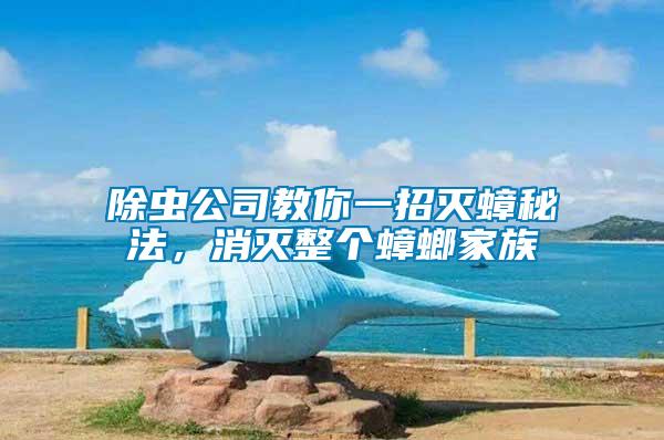 除蟲(chóng)公司教你一招滅蟑秘法，消滅整個(gè)蟑螂家族