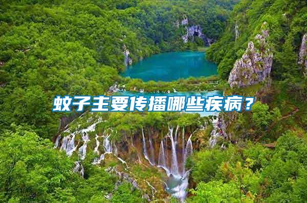 蚊子主要傳播哪些疾?。?/></p>
             <p style=