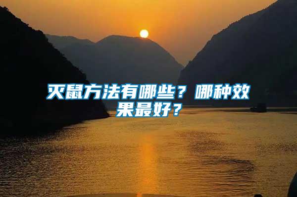 滅鼠方法有哪些？哪種效果最好？
