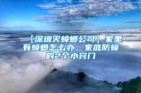 【深圳滅蟑螂公司】家里有蟑螂怎么辦，家庭防蟑的2個小竅門