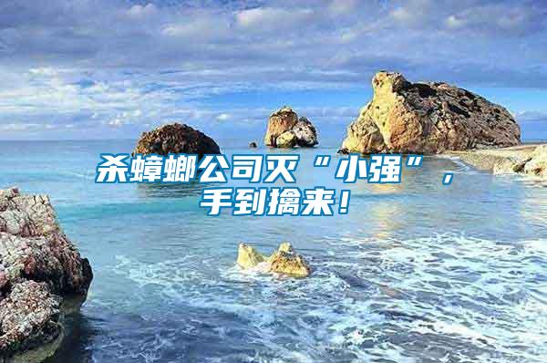 殺蟑螂公司滅“小強”，手到擒來！