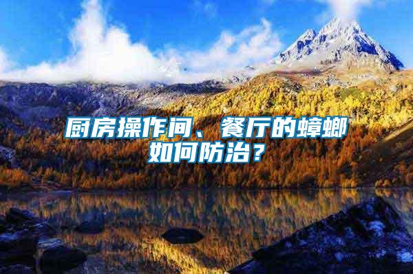 廚房操作間、餐廳的蟑螂如何防治？