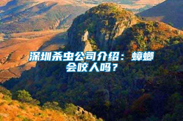 深圳殺蟲公司介紹：蟑螂會咬人嗎？