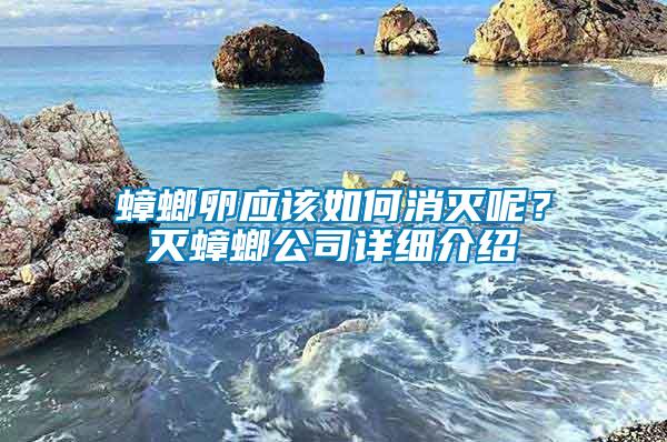 蟑螂卵應該如何消滅呢？滅蟑螂公司詳細介紹