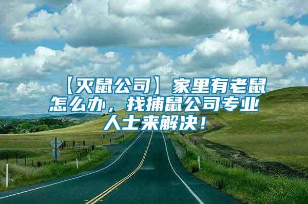【滅鼠公司】家里有老鼠怎么辦，找捕鼠公司專業人士來解決！