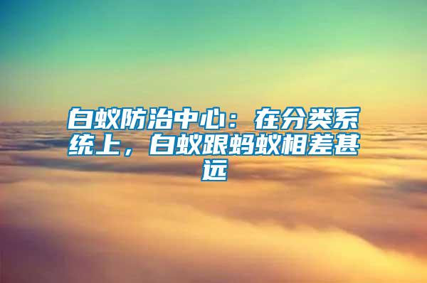 白蟻防治中心：在分類系統(tǒng)上，白蟻跟螞蟻相差甚遠(yuǎn)