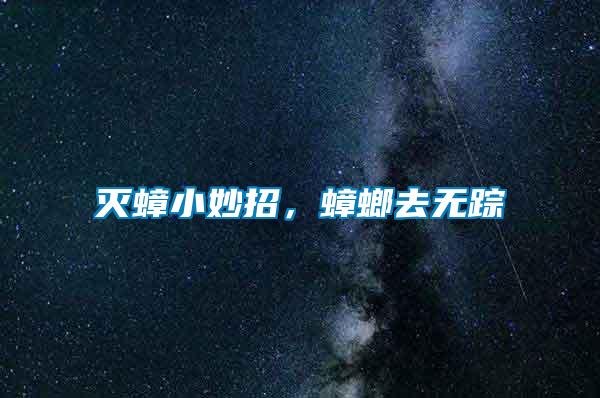 滅蟑小妙招，蟑螂去無蹤