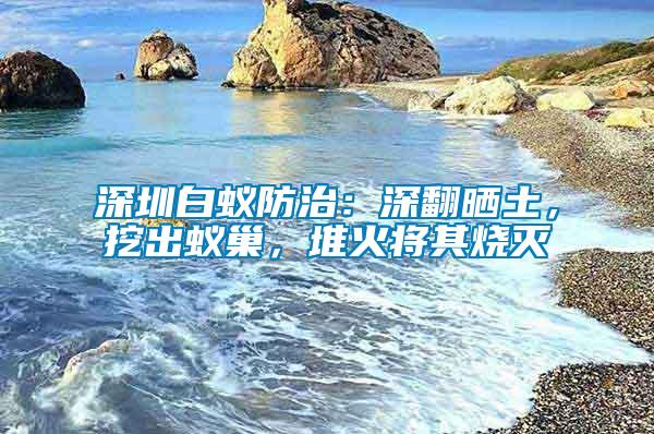 深圳白蟻防治：深翻曬土，挖出蟻巢，堆火將其燒滅