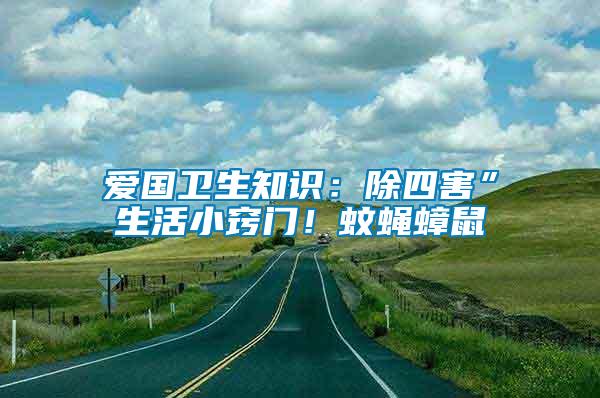 愛國衛生知識：除四害”生活小竅門！蚊蠅蟑鼠