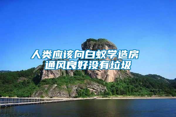 人類應(yīng)該向白蟻學造房 通風良好沒有垃圾