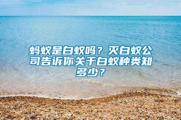 螞蟻是白蟻嗎？滅白蟻公司告訴你關于白蟻種類知多少？