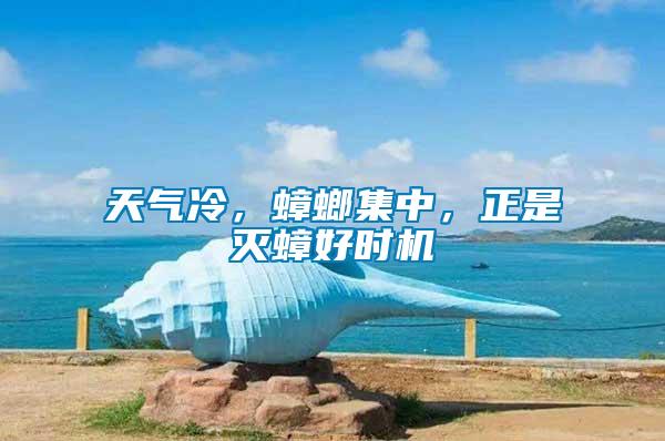 天氣冷，蟑螂集中，正是滅蟑好時機(jī)