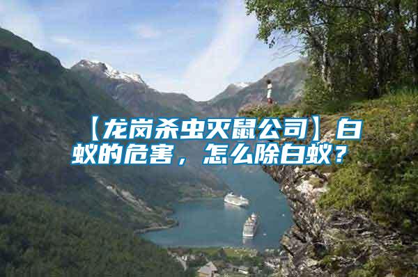【龍崗殺蟲滅鼠公司】白蟻的危害，怎么除白蟻？