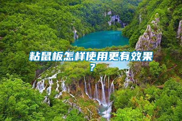 粘鼠板怎樣使用更有效果？