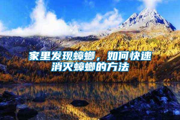 家里發(fā)現(xiàn)蟑螂，如何快速消滅蟑螂的方法