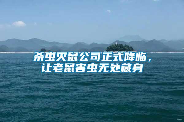 殺蟲滅鼠公司正式降臨，讓老鼠害蟲無處藏身