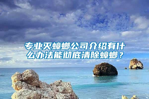 專業滅蟑螂公司介紹有什么辦法能徹底清除蟑螂？