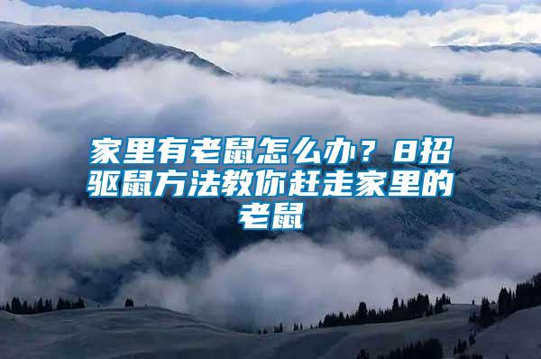 家里有老鼠怎么辦？8招驅(qū)鼠方法教你趕走家里的老鼠