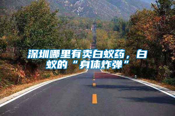 深圳哪里有賣白蟻藥，白蟻的“身體炸彈”