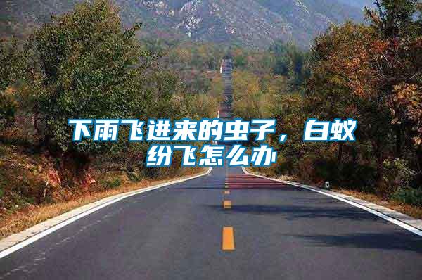 下雨飛進(jìn)來(lái)的蟲子，白蟻紛飛怎么辦