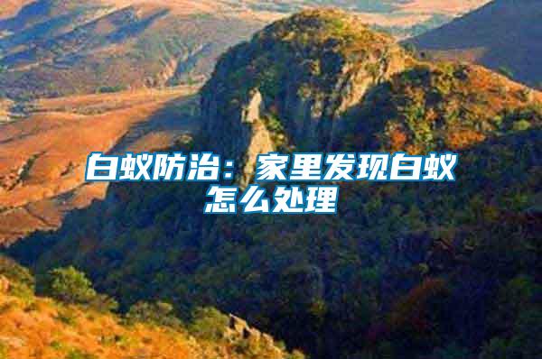 白蟻防治：家里發現白蟻怎么處理