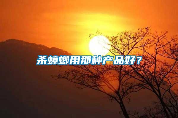 殺蟑螂用那種產品好？
