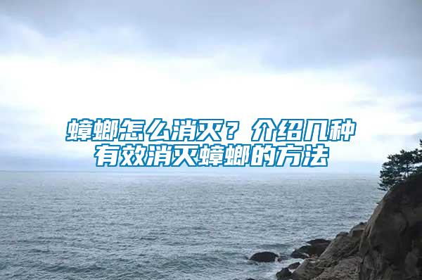 蟑螂怎么消滅？介紹幾種有效消滅蟑螂的方法