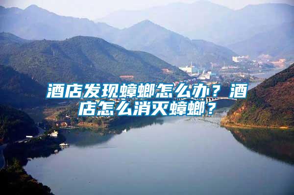 酒店發(fā)現(xiàn)蟑螂怎么辦？酒店怎么消滅蟑螂？