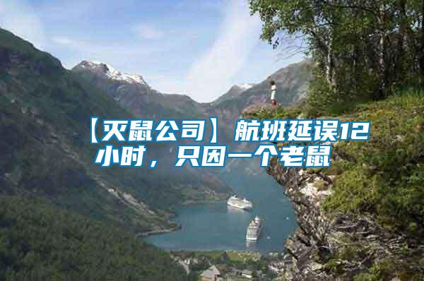 【滅鼠公司】航班延誤12小時，只因一個老鼠