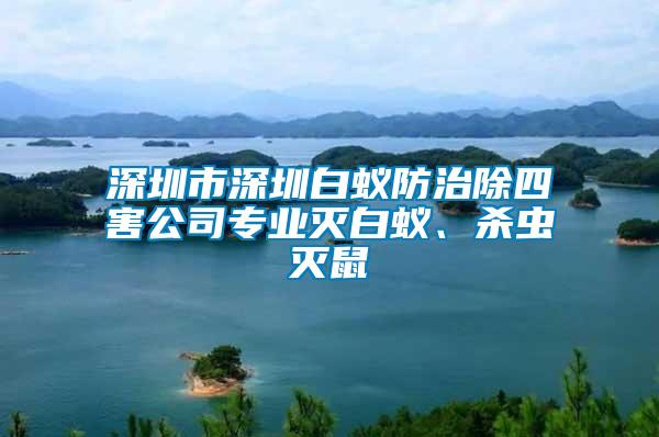 深圳市深圳白蟻防治除四害公司專業滅白蟻、殺蟲滅鼠