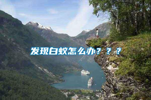 發現白蟻怎么辦？？？
