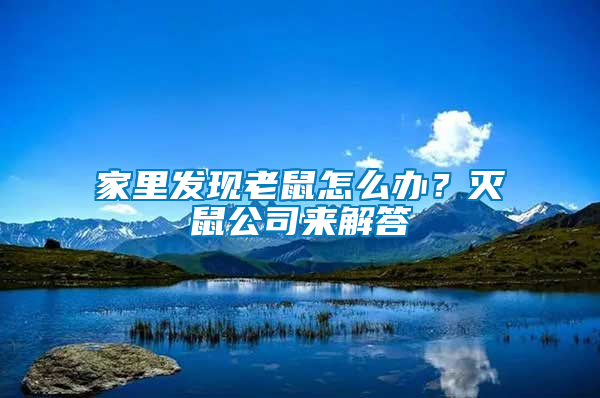 家里發(fā)現(xiàn)老鼠怎么辦？滅鼠公司來解答
