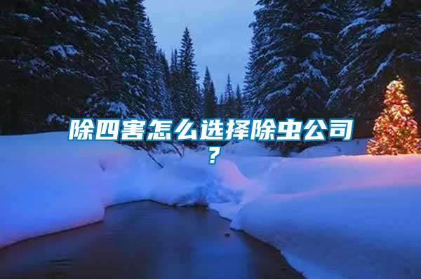 除四害怎么選擇除蟲公司？