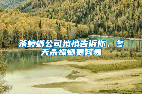 殺蟑螂公司悄悄告訴你，冬天殺蟑螂更容易