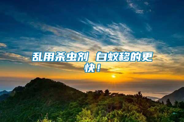亂用殺蟲劑 白蟻移的更快！